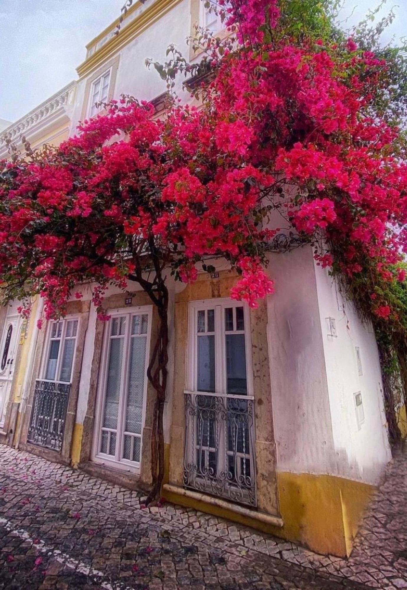 Chic Suite Sequa In Taviras Historical Centre מראה חיצוני תמונה